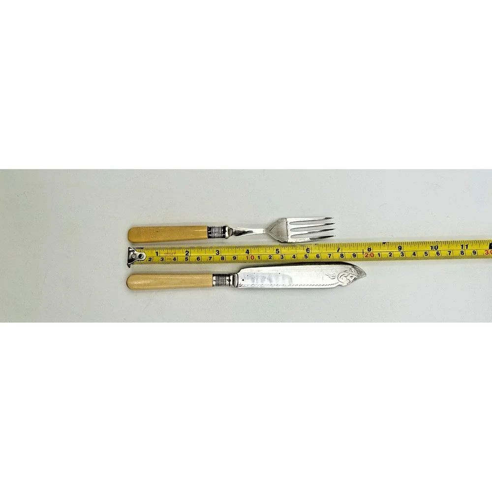 Vintage Silver Plate Fish‎ Knife & Fork Set 12 Piece Ivory Celluloid Handles